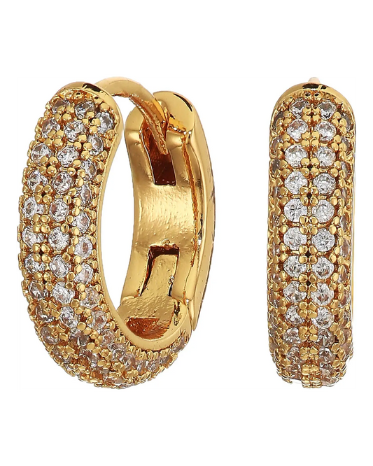 The Sasha Pave Hoop