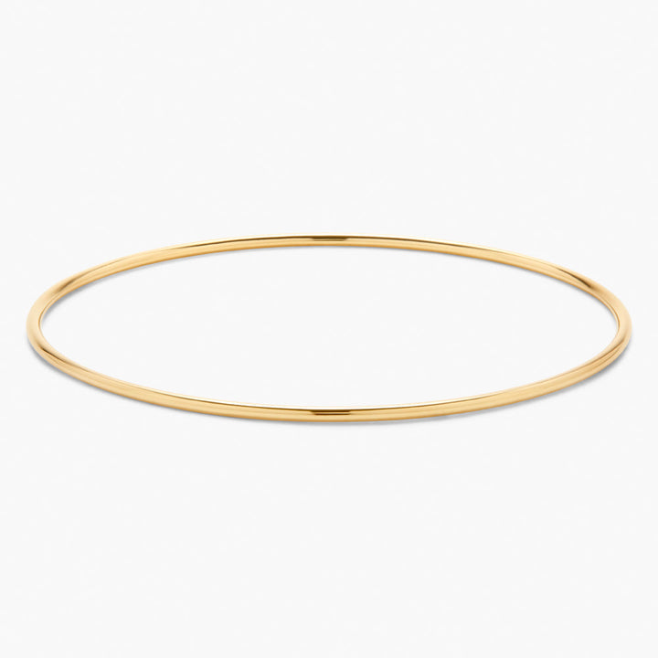 The Arianna Demi Fine Bangle