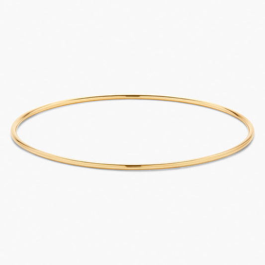 The Arianna Demi Fine Bangle